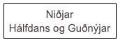 Niðjar
Hálfdans og Guðnýjar